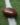 brown Wilson American football on grass